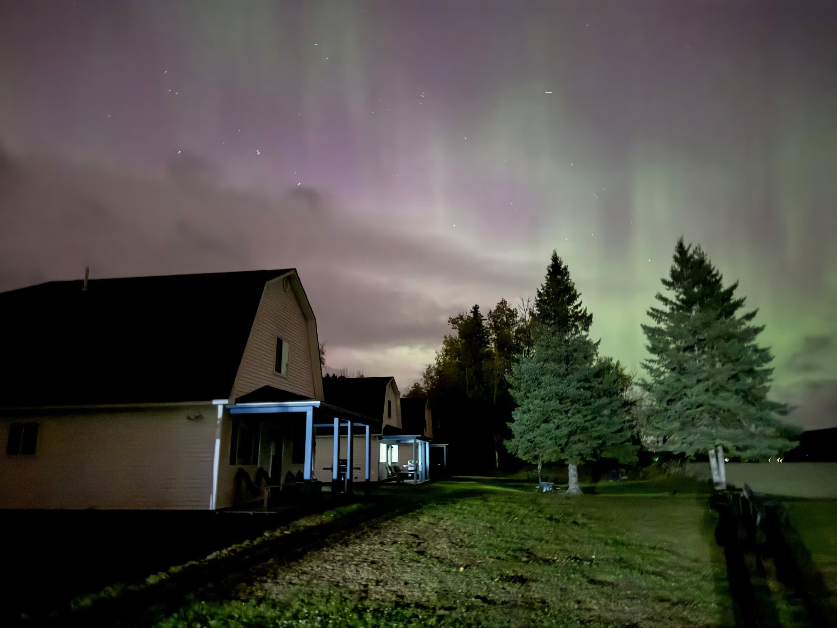 Green northern lights over the cottages and spruce trees.
